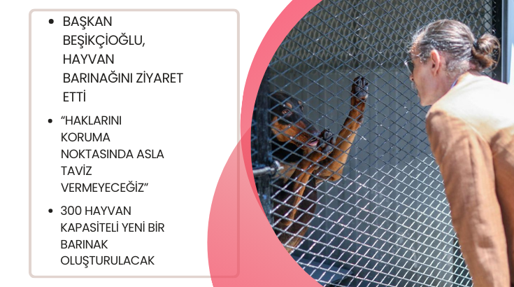 Başkan Beşik&ccedil;ioğlu, hayvan barınağını ziyaret etti&hellip;