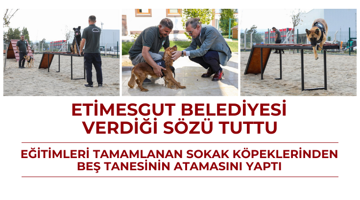 Etimesgut Belediyesi verdiği s&ouml;z&uuml; tuttu&hellip; Eğitimleri tamamlanan sokak k&ouml;peklerinden beş tanesinin atamasını yaptı&hellip;