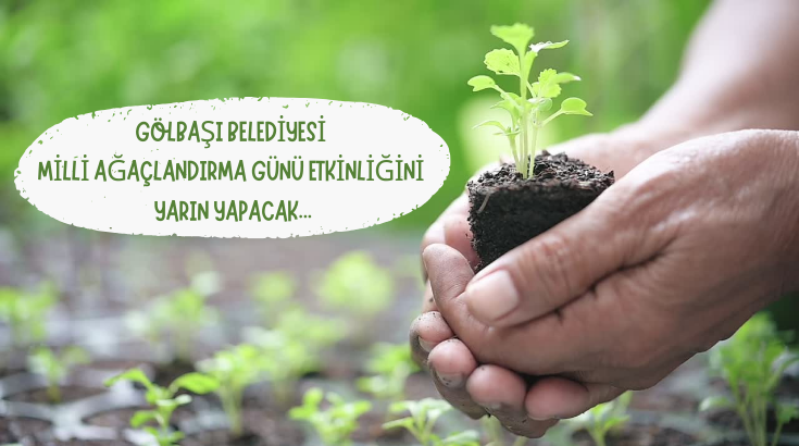 Gölbaşı Belediyesi Milli Ağaçlandırma Günü etkinliğini yarın yapacak...