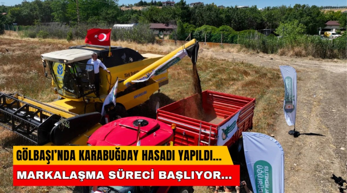 G&ouml;lbaşı&rsquo;nda Karabuğday Hasadı Yapıldı... Markalaşma S&uuml;reci Başlıyor...