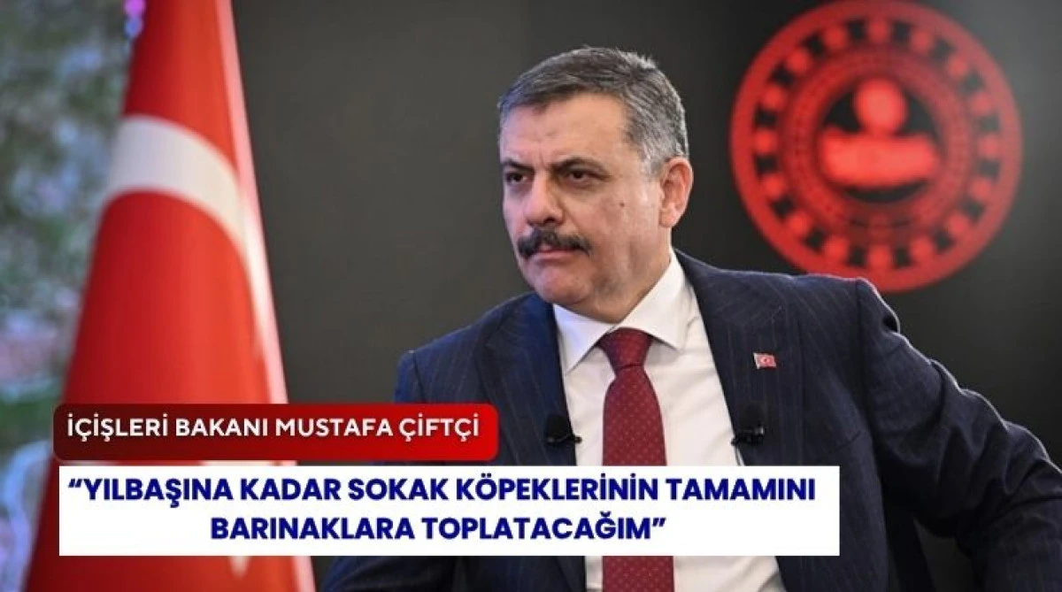 İ&ccedil;işleri Bakanı Mustafa &Ccedil;ift&ccedil;i: &ldquo;Yılbaşına kadar sokak k&ouml;peklerinin tamamını barınaklara toplatacağım&rdquo;