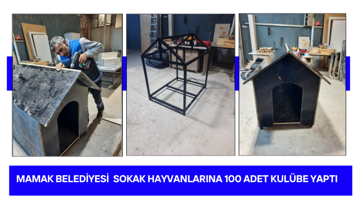 Mamak Belediyesi  sokak hayvanlarına 100 adet kul&uuml;be yaptı...