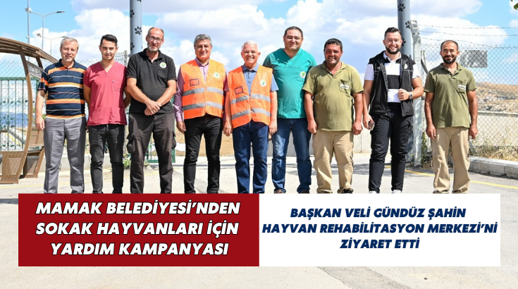 Mamak Belediyesi&rsquo;nden sokak hayvanları i&ccedil;in yardım kampanyası&hellip;