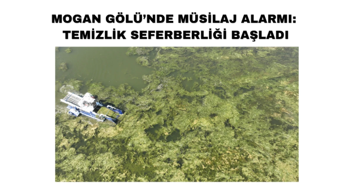 Mogan G&ouml;l&uuml;&rsquo;nde M&uuml;silaj Alarmı: Temizlik Seferberliği Başladı