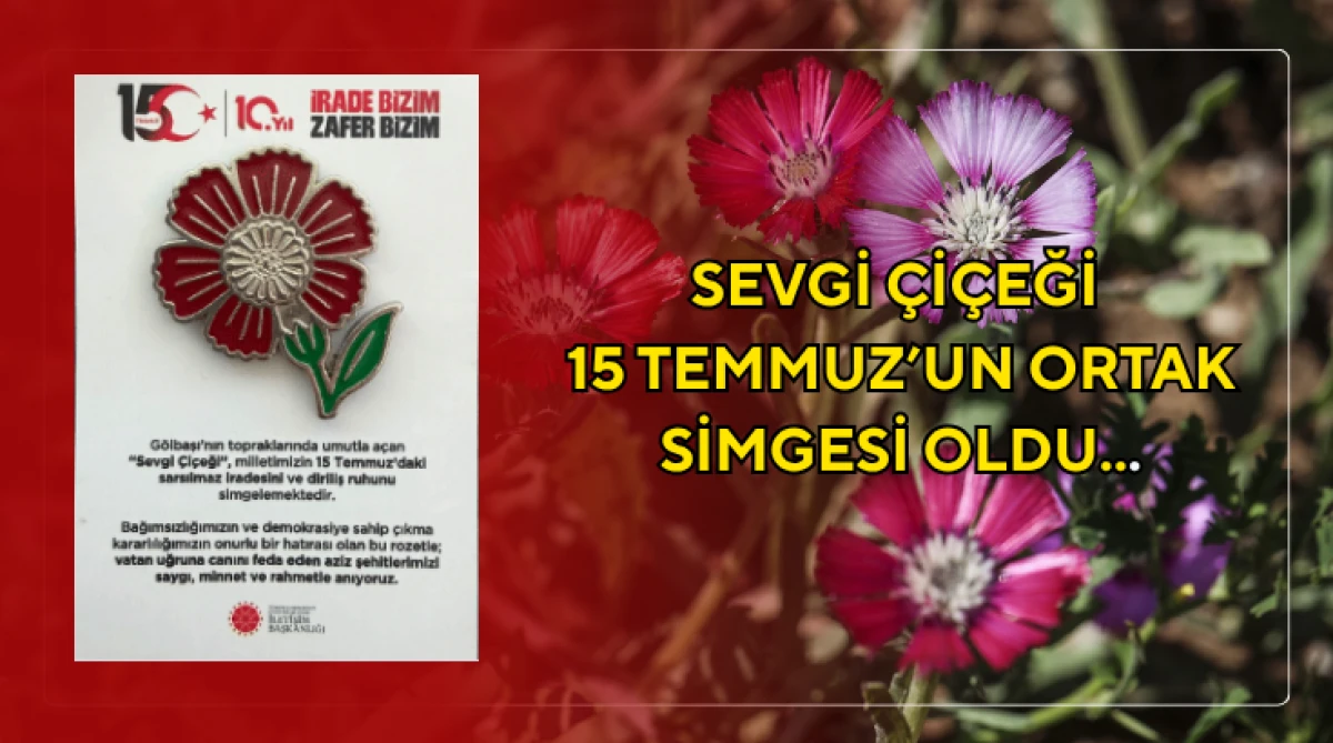 Sevgi &Ccedil;i&ccedil;eği 15 Temmuz&rsquo;un Ortak Simgesi Oldu...